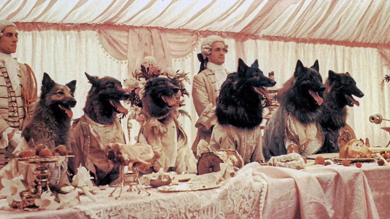 The Company of Wolves