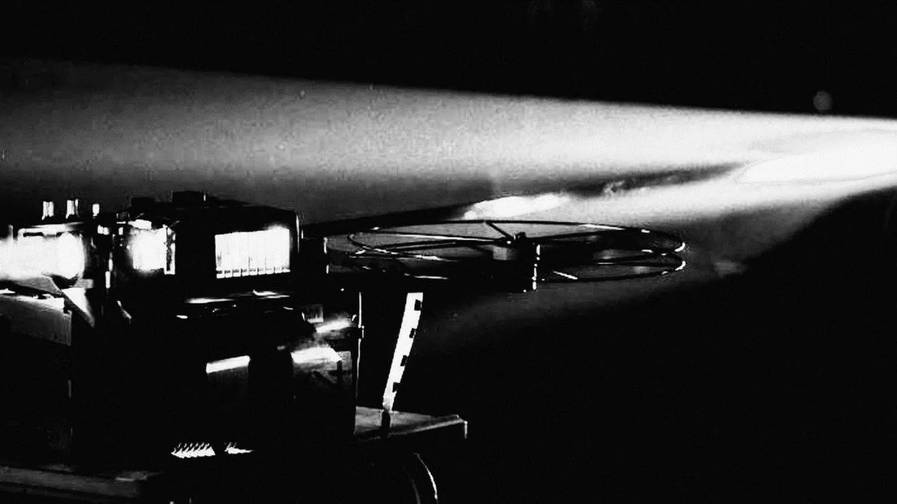 The Projectors